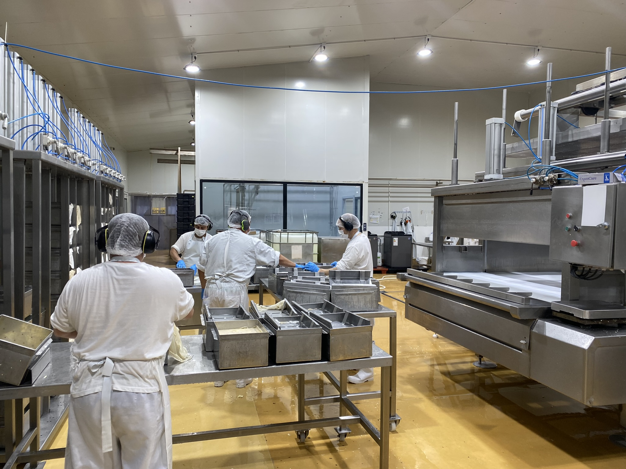 Planta productora de LACSUR en Osorno